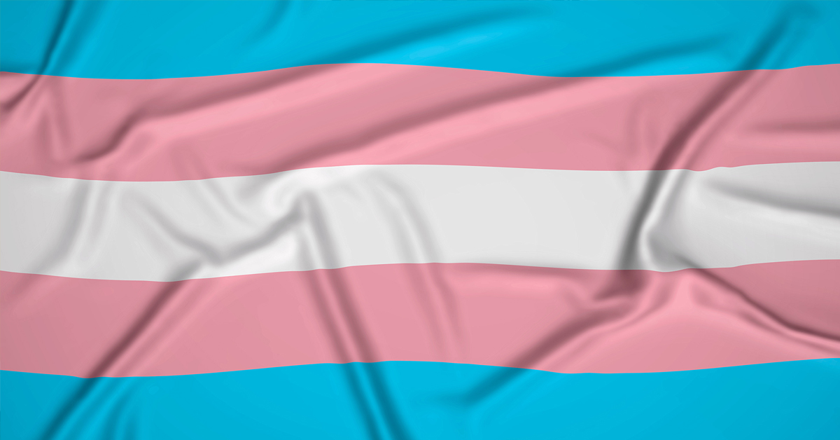 bandera trans
